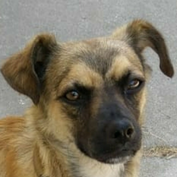 Meet your Posher, Maria - Picture 2 of 5